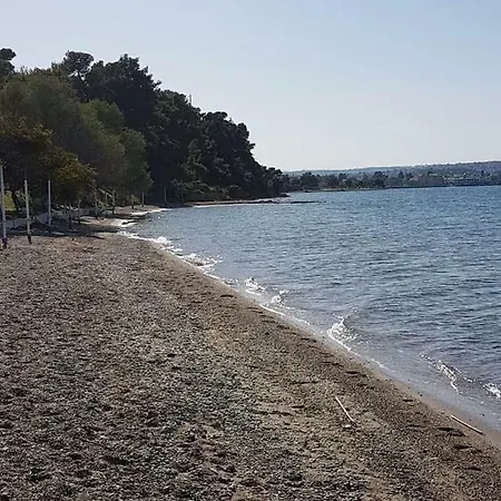 Near The Beach 度假居