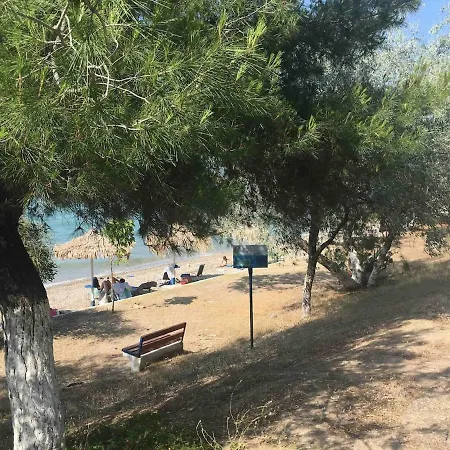 Near The Beach 度假居 *