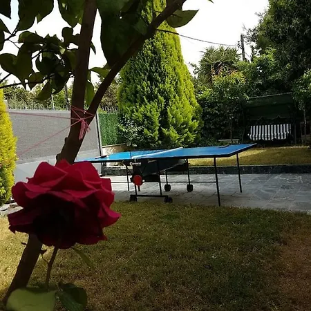Near The Beach