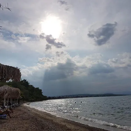 Near The Beach *